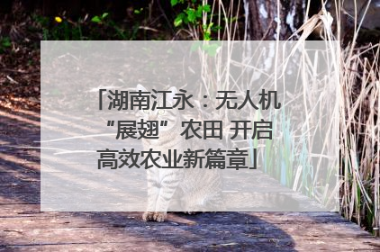 湖南江永：无人机“展翅”农田 开启高效农业新篇章