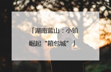 湖南蓝山：小镇崛起“箱包城”