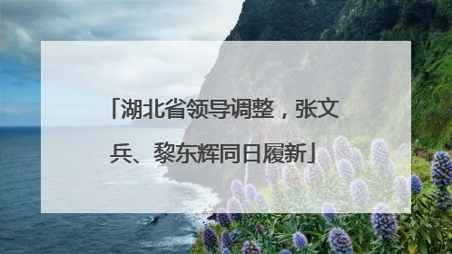 湖北省领导调整，张文兵、黎东辉同日履新