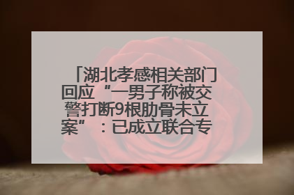 湖北孝感相关部门回应“一男子称被交警打断9根肋骨未立案”：已成立联合专班开展工作