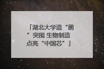 湖北大学造“菌”突围 生物制造点亮“中国芯”