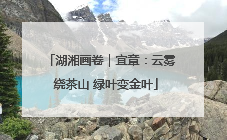 湖湘画卷｜宜章：云雾绕茶山 绿叶变金叶