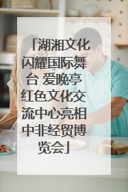 湖湘文化闪耀国际舞台 爱晚亭红色文化交流中心亮相中非经贸博览会
