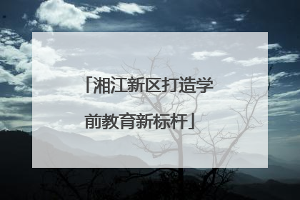 湘江新区打造学前教育新标杆