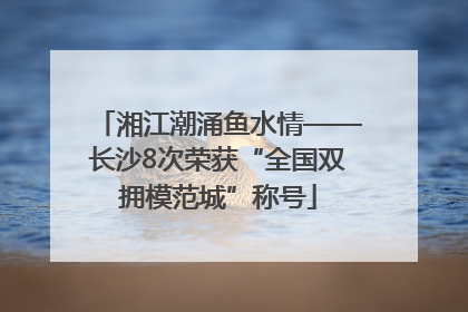 湘江潮涌鱼水情——长沙8次荣获“全国双拥模范城”称号