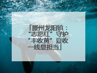滕州龙阳镇：“志愿红”守护“丰收黄”夏收一线显担当