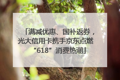 满减优惠、国补返券，光大信用卡携手京东点燃“618”消费热潮