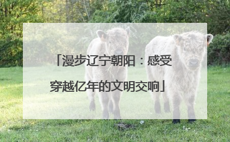 漫步辽宁朝阳：感受穿越亿年的文明交响