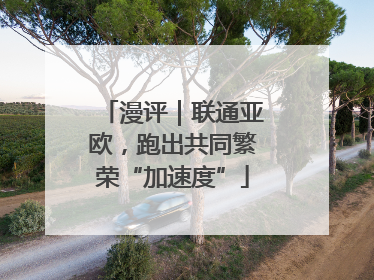 漫评｜联通亚欧，跑出共同繁荣“加速度”