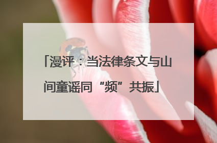 漫评：当法律条文与山间童谣同“频”共振