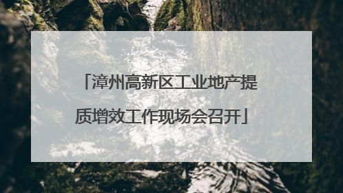 漳州高新区工业地产提质增效工作现场会召开