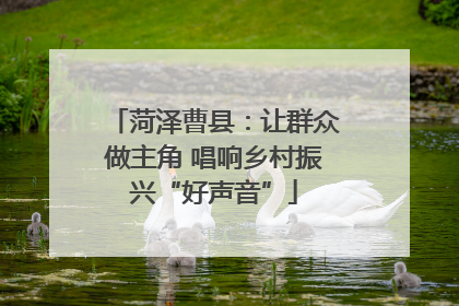 菏泽曹县：让群众做主角 唱响乡村振兴“好声音”