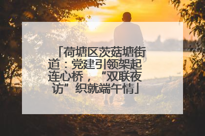 荷塘区茨菇塘街道：党建引领架起连心桥，“双联夜访”织就端午情