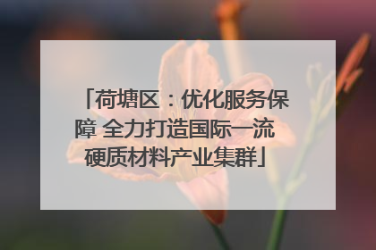 荷塘区：优化服务保障 全力打造国际一流硬质材料产业集群