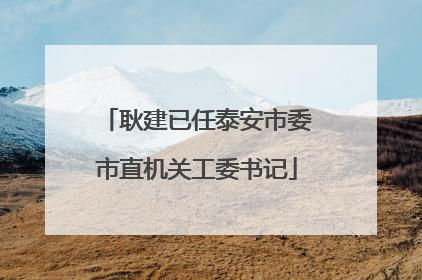耿建已任泰安市委市直机关工委书记