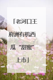 老河口王府洲有机西瓜“甜蜜”上市