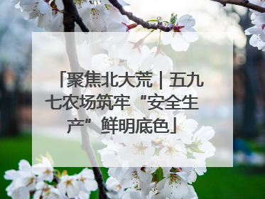 聚焦北大荒｜五九七农场筑牢“安全生产”鲜明底色