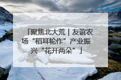 聚焦北大荒｜友谊农场“稻耳轮作”产业振兴“花开两朵”