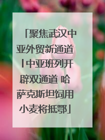 聚焦武汉中亚外贸新通道│中亚班列开辟双通道 哈萨克斯坦饲用小麦将抵鄂