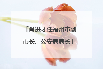 肖进才任福州市副市长、公安局局长
