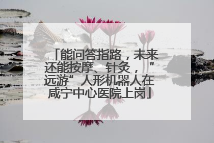 能问答指路，未来还能按摩、针灸，“远游”人形机器人在咸宁中心医院上岗