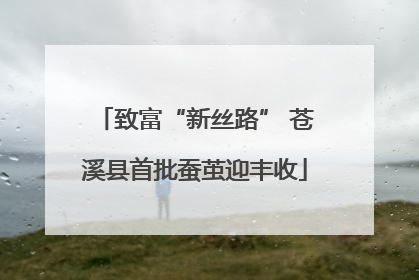 致富“新丝路” 苍溪县首批蚕茧迎丰收