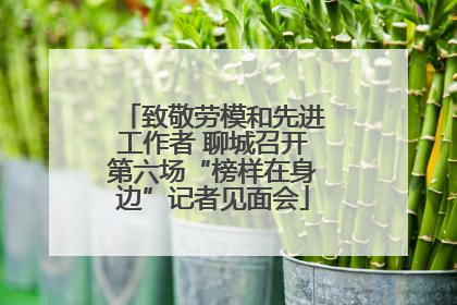 致敬劳模和先进工作者 聊城召开第六场“榜样在身边”记者见面会