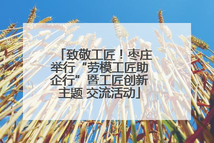 致敬工匠！枣庄举行“劳模工匠助企行”暨工匠创新主题 交流活动