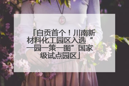 自贡首个！川南新材料化工园区入选“一园一策一图”国家级试点园区