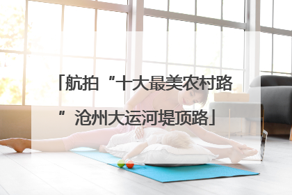 航拍“十大最美农村路”沧州大运河堤顶路