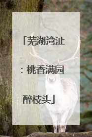 芜湖湾沚：桃香满园醉枝头
