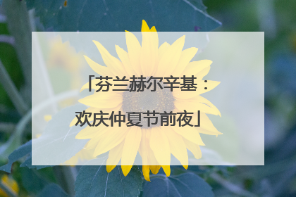 芬兰赫尔辛基：欢庆仲夏节前夜