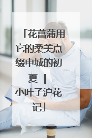花菖蒲用它的柔美点缀申城的初夏  | 小叶子沪花记