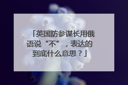 英国防参谋长用俄语说“不”，表达的到底什么意思？