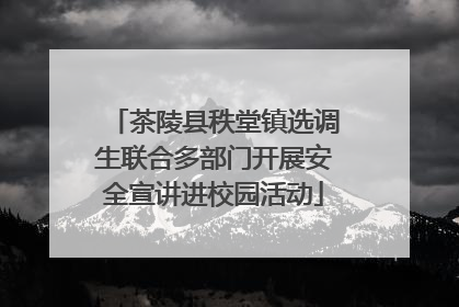 茶陵县秩堂镇选调生联合多部门开展安全宣讲进校园活动