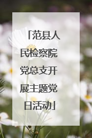 范县人民检察院党总支开展主题党日活动
