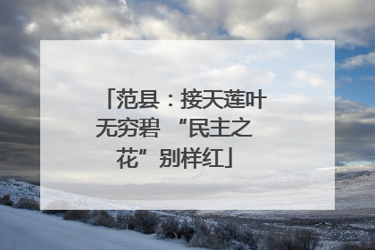 范县：接天莲叶无穷碧 “民主之花”别样红