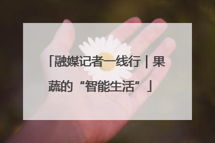 融媒记者一线行｜果蔬的“智能生活”