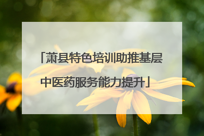 萧县特色培训助推基层中医药服务能力提升