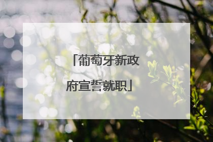 葡萄牙新政府宣誓就职