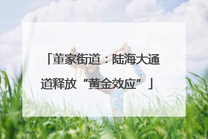 董家街道：陆海大通道释放“黄金效应”