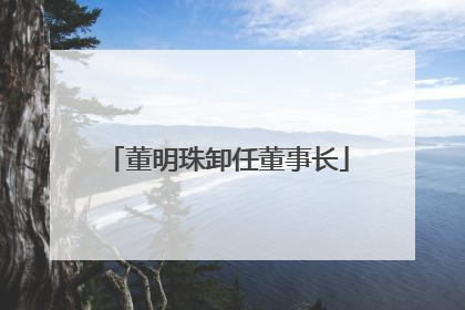 董明珠卸任董事长