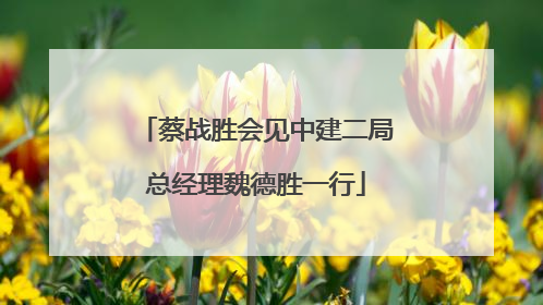 蔡战胜会见中建二局总经理魏德胜一行