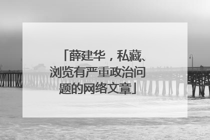 薛建华，私藏、浏览有严重政治问题的网络文章