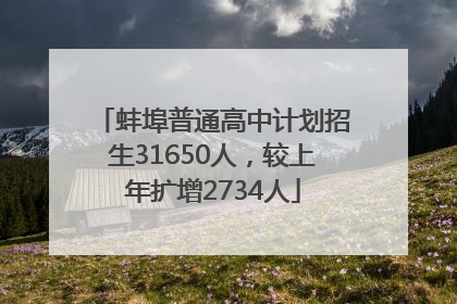 蚌埠普通高中计划招生31650人，较上年扩增2734人