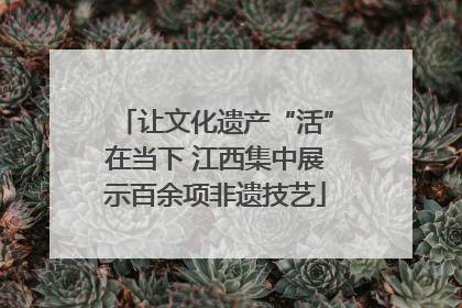 让文化遗产“活”在当下 江西集中展示百余项非遗技艺