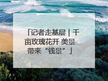 记者走基层｜千亩玫瑰花开 美景带来“钱景”