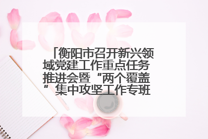 衡阳市召开新兴领域党建工作重点任务推进会暨“两个覆盖”集中攻坚工作专班 第一次会议