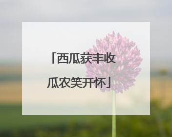 西瓜获丰收 瓜农笑开怀