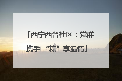 西宁西台社区：党群携手 “粽”享温情